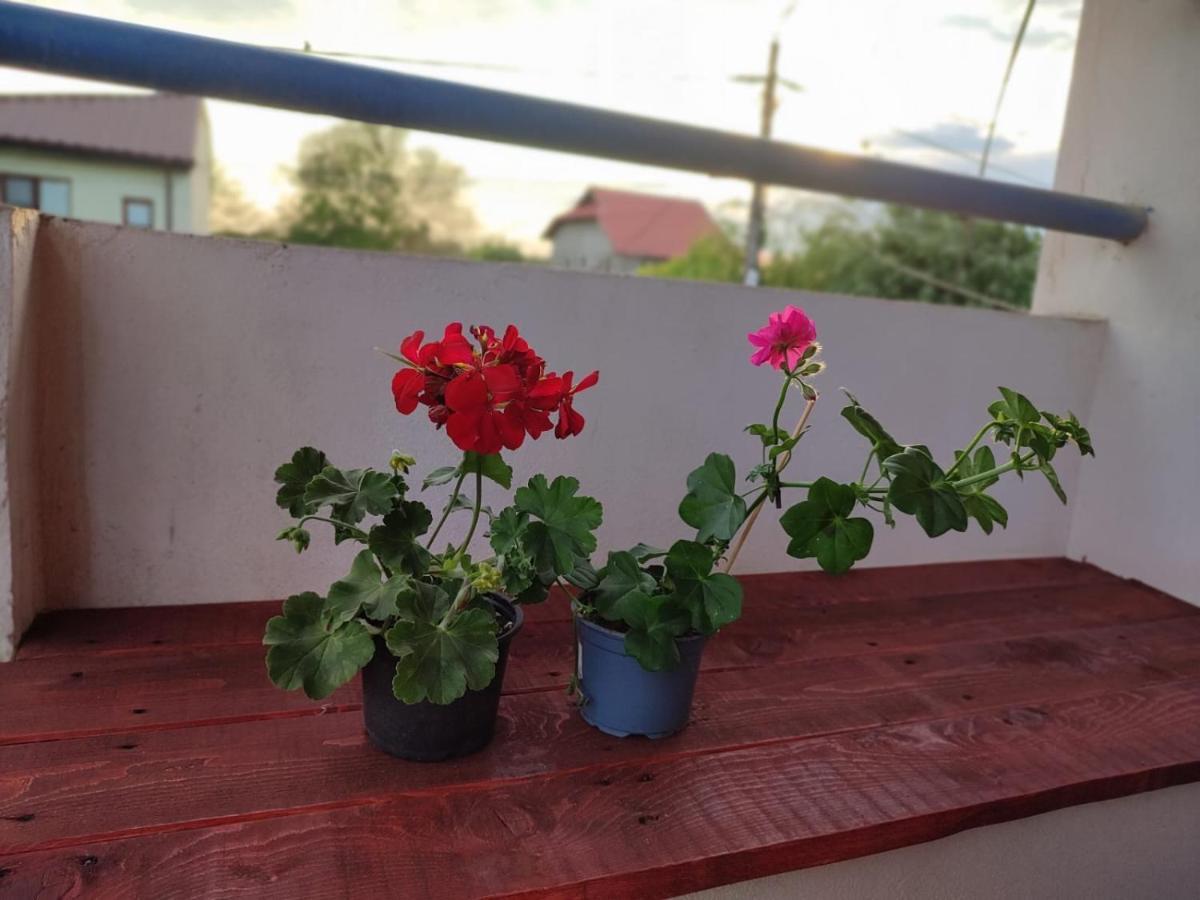 Casa Victor Apartment Eforie Nord Luaran gambar