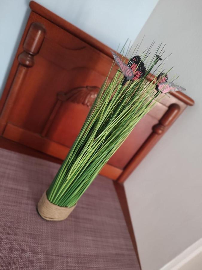 Casa Victor Apartment Eforie Nord Luaran gambar